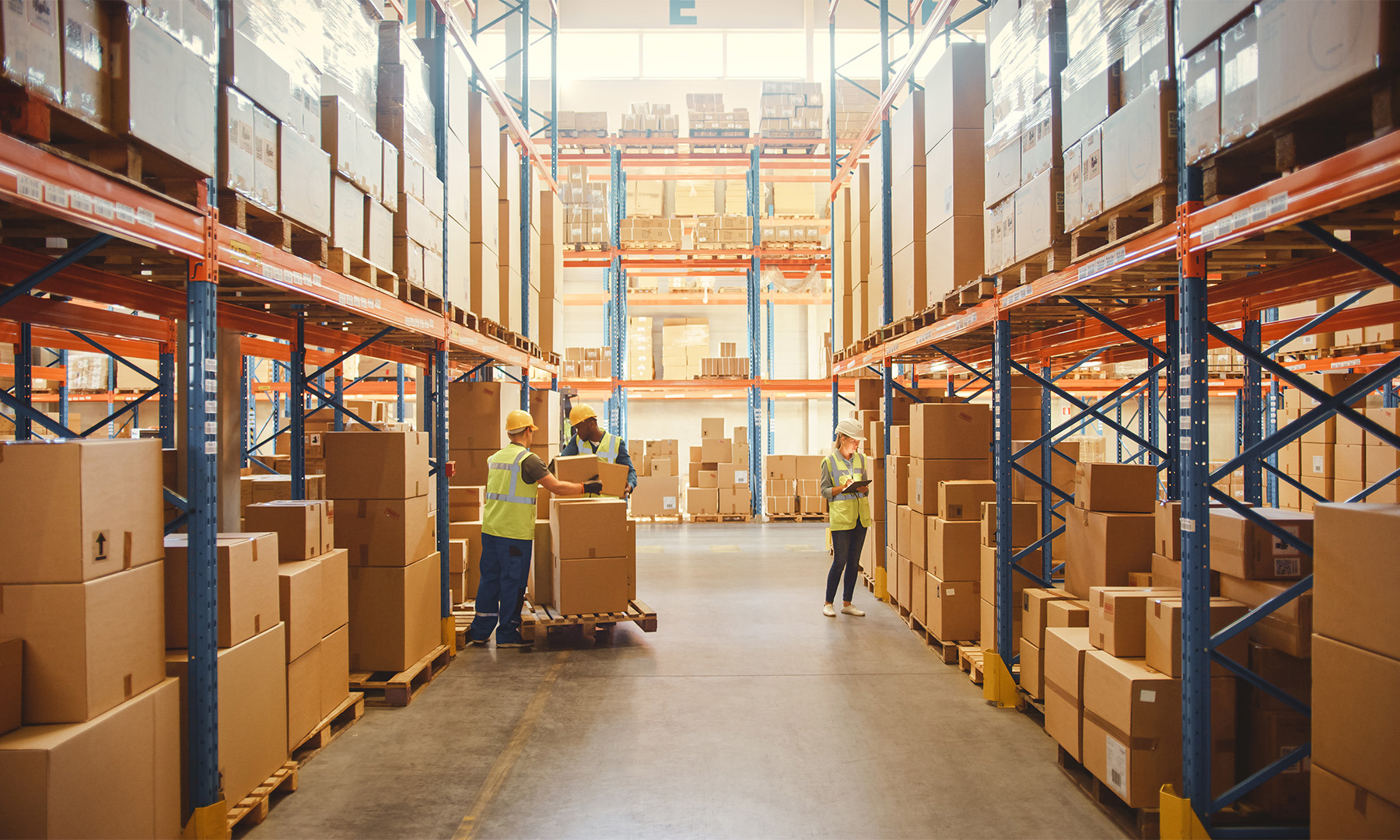 y internationl warehouse